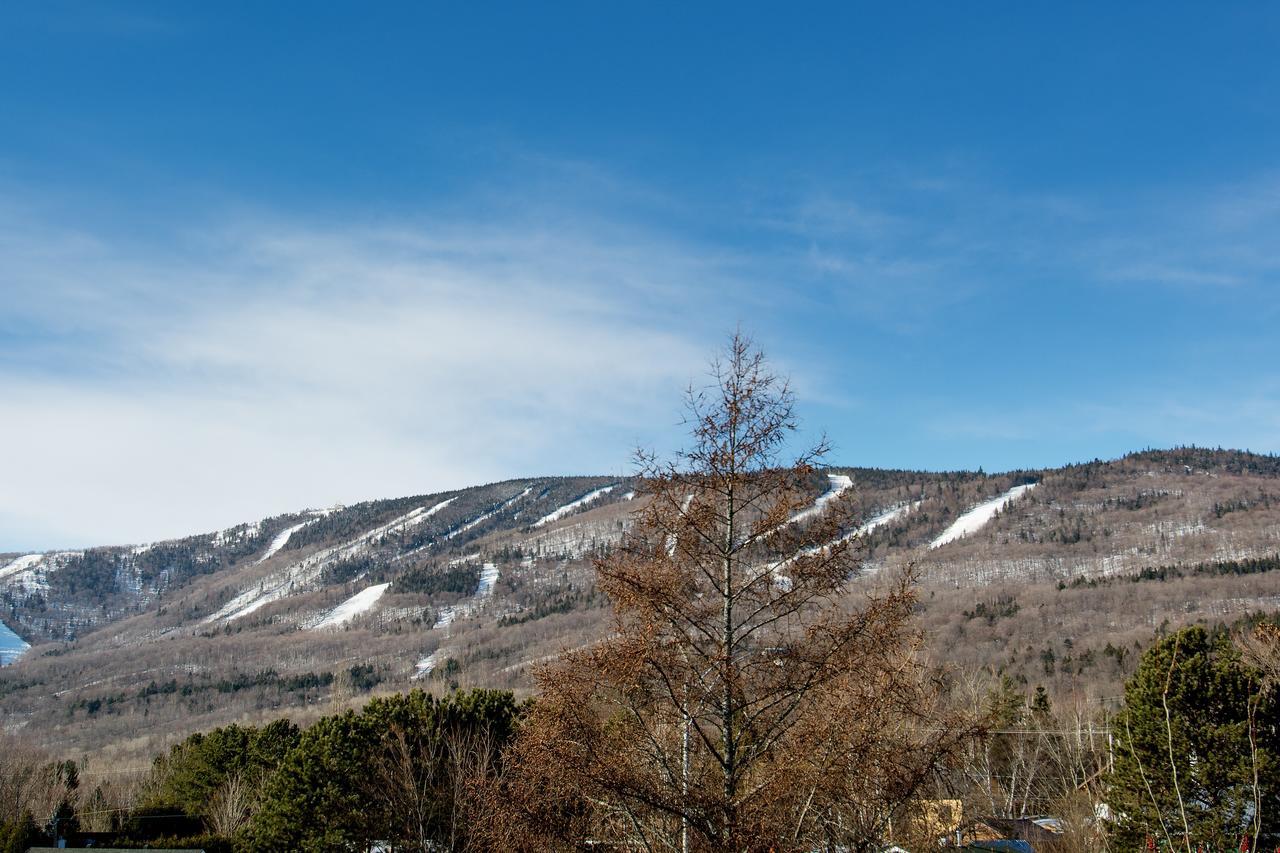 Le Vallon Saint-Ferreol-les-Neiges Zewnętrze zdjęcie
